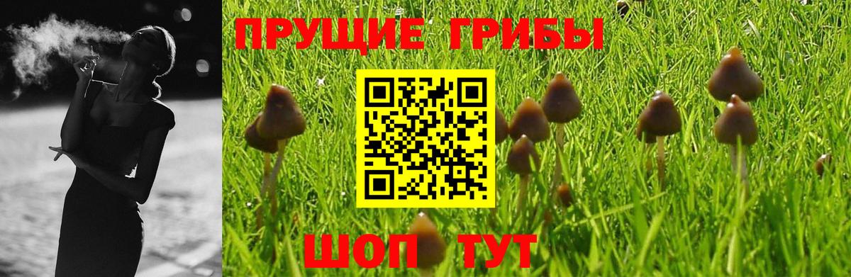 Галлюциногенные грибы MAGIC MUSHROOMS  Вход с VPN  Шали 
