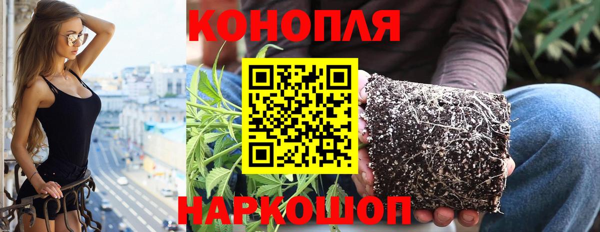 Конопля ГИДРОПОН  Канабис VHQ  Марихуана White Widow  Бошки марихуана Amnesia  Шали  Вход с VPN 